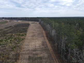 0 Coal Bluff Rd Unit 22296247, Lena, MS 39094