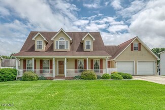 309 Autumn Cir, Bluff City, TN 37618