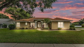3717 Tigereye Ct, Mulberry, FL 33860