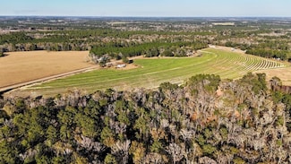 00 Tired Creek Rd, Whigham, GA 39897