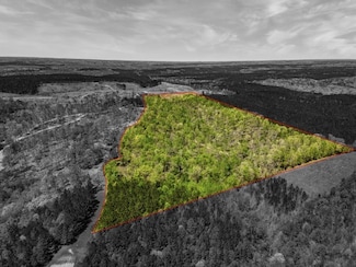 0 Cedar Grove Rd, Iron City, TN 38463