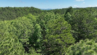 TBD (Lot 12) Heather Ln, Mena, AR 71953