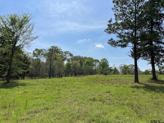 16730 Ridgeline Loop, Winona, TX 75792