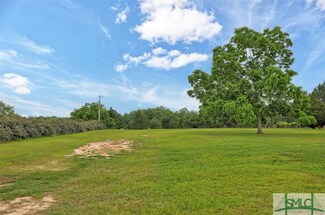 0 Nevils Groveland Rd Unit 15.06 Acres 312288, Nevils, GA 31321