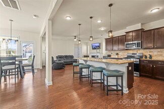 13203 Caite Ridge Rd, Davidson, NC 28036