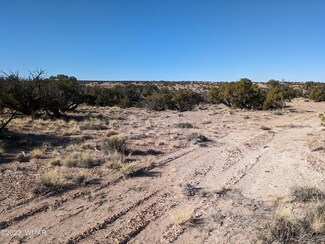 0 N6112, St. Johns, AZ 85936