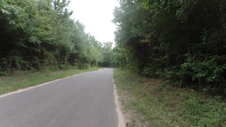 38.655 ac County Road 20, Jasper, TX 75951