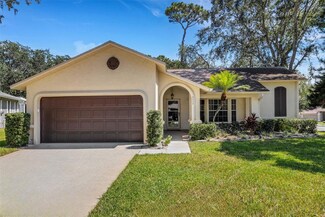 3538 Pine Lake Ct, Palm Harbor, FL 34684