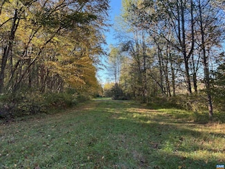 Lot E, TM 24-30 W Hoover Rd Unit E, Reva, VA 22735