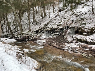 0 Carcass Brook Spur, Hancock, NY 13756