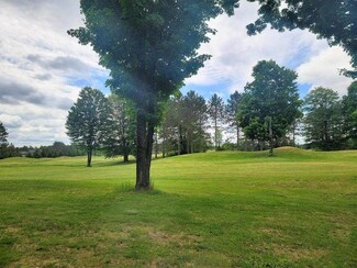 Unit # 21 Cubs Way Unit Black Bear Estates, Vanderbilt, MI 49795