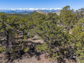 TBD L Path, Cotopaxi, CO 81223