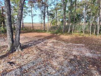 140 Madison Dr Unit Lot 52 Harmony Old T, Georgetown, SC 29440