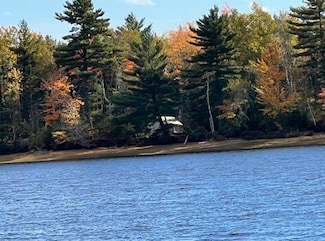 M4, L6 Hardwood Hill Island, Mariaville, ME 04605