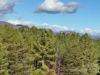 000 Palisade Dr Unit 22, Rutherfordton, NC 28139
