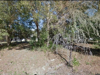 17449 NW 89th Terrace, Fanning Springs, FL 32693