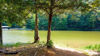 0 P Cromer Rd Unit 126346, Lake Secession, SC 29620