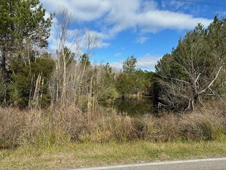 NHN Walkiah Bluff Rd, Picayune, MS 39466