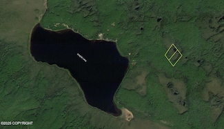L10 B5 Eksgiza Lake (No Road), Nenana, AK 99760