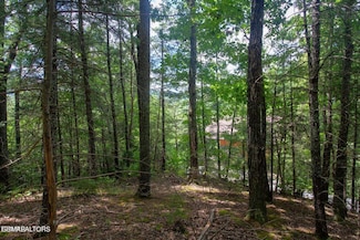 Lot 0013 High Top Loop, Sevierville, TN 37862