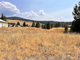 7 Sandpiper Way, Republic, WA 99166