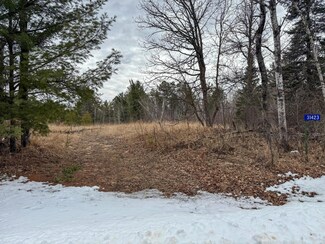31423 Wejack Rd, Cass Lake, MN 56633