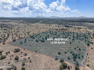 5785 N Muytala Dr, Williams, AZ 86046