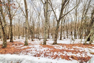 0 Lot501 Warbler Ct, Bushkill, PA 18324