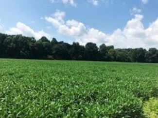 140 Highway 4, Ashland, MS 38603