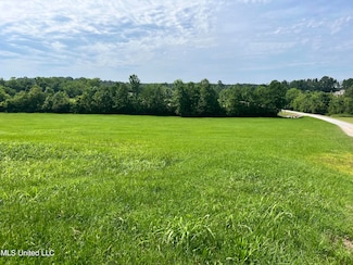 0 Sky Lake Dr Unit 4080022, Pelahatchie, MS 39145
