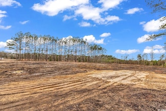 TBD 1.00ac Red Bluff Rd Unit 3930 Red Bluff Rd (p, Loris, SC 29569