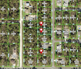 16287 Mellon Rd, Brooksville, FL 34614