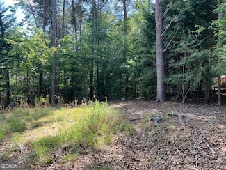 0 Big Water Cir Unit 10463583, Hartwell, GA 30643