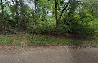 0 County Line Rd Unit 24178693, Willis, TX 77378