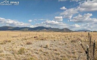 1529 Yellowstone Rd, Hartsel, CO 80449
