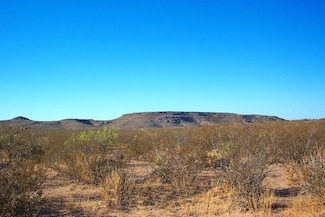 0 Wilkey Rd, Fort Hancock, TX 79839
