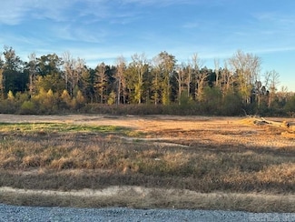 1040 Duke Dr, Bauxite, AR 72011