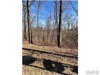 0 Hwy 79 Unit MAR25020996, Louisiana, MO 63353