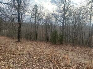 0 Nc 8735 Unit 148668, Jasper, AR 72641