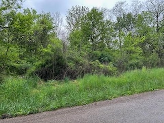 0 Herring Ave, Mansfield, OH 44906