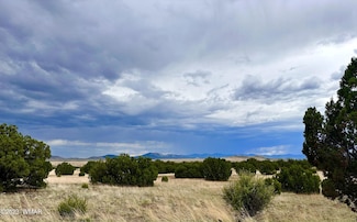 0 County Rd N3440 Unit 255992, Concho, AZ 85924