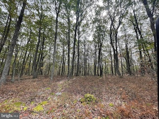 130 Spring Mountain Dr, North Union Township, PA 17985