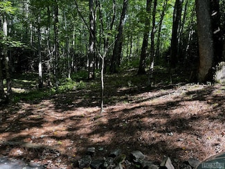 84 Black Oak Dr, Sapphire, NC 28774