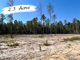 26250 Wagon Wheel Dr, Holden, LA 70774