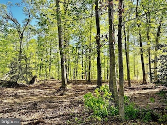 000 Lot 4 Tapps Ford Rd, Amissville, VA 20106