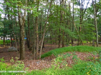 553 Sioux Dr, East Stroudsburg, PA 18302