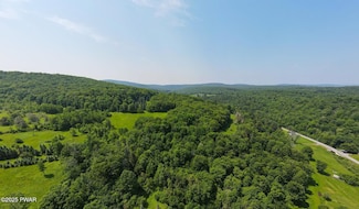 1064 Pine Mill Rd, Equinunk, PA 18417