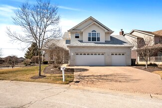11151 Fountain Hill Dr, Orland Park, IL 60467