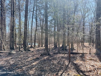 Lot 1138 Chipmunk Ln, Salem Township, PA 18436