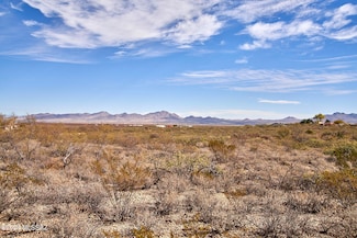 TBD W Bo Ma Trail Unit 115, San Simon, AZ 85632